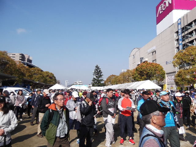 DSCF7442