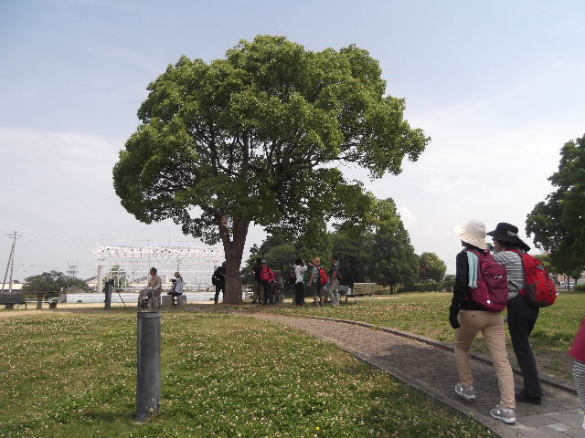 DSCF8800