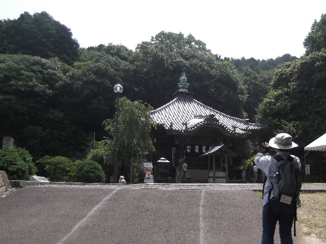 DSCF8835w