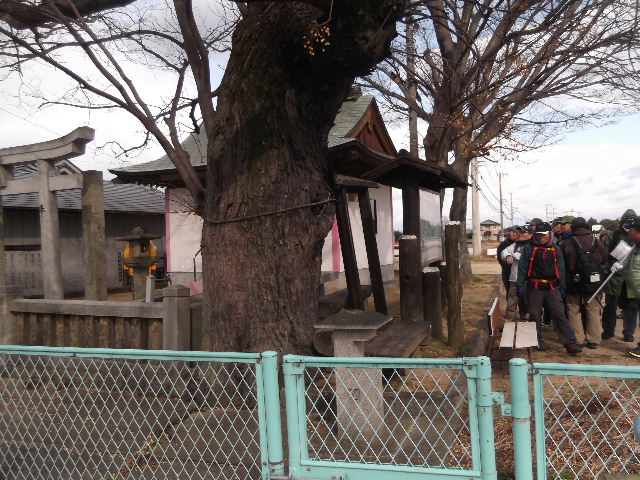 DSCF8427