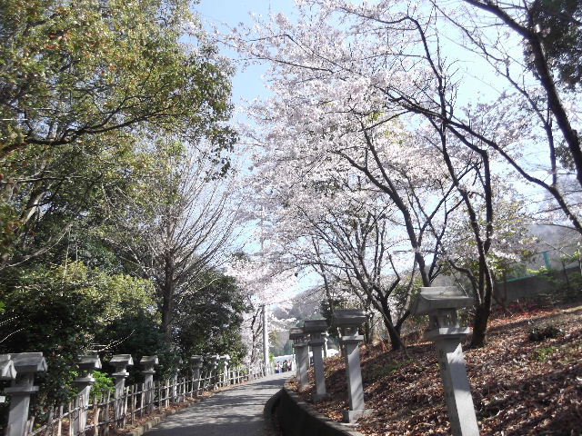 DSCF7452