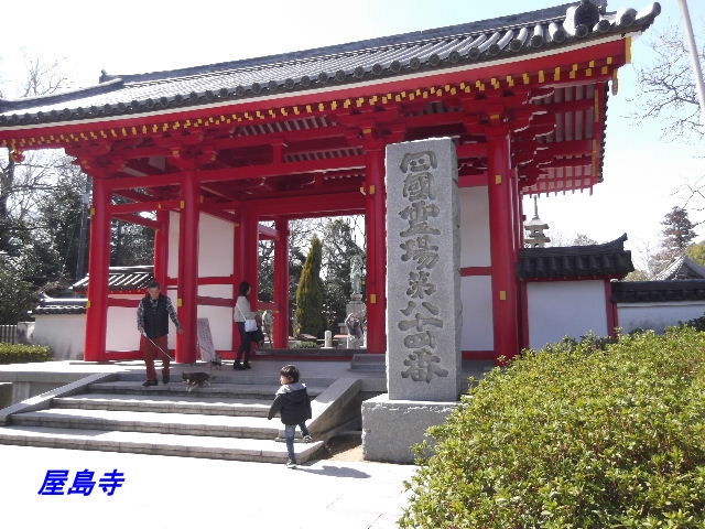 DSCF9174