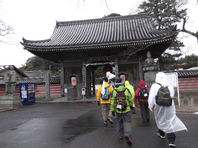DSCF8432