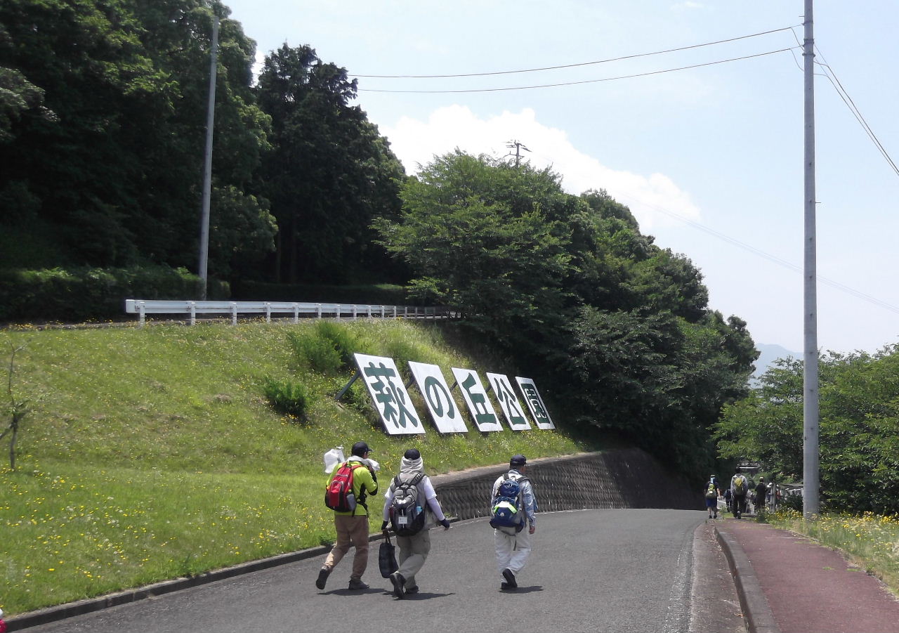 DSCF8813p