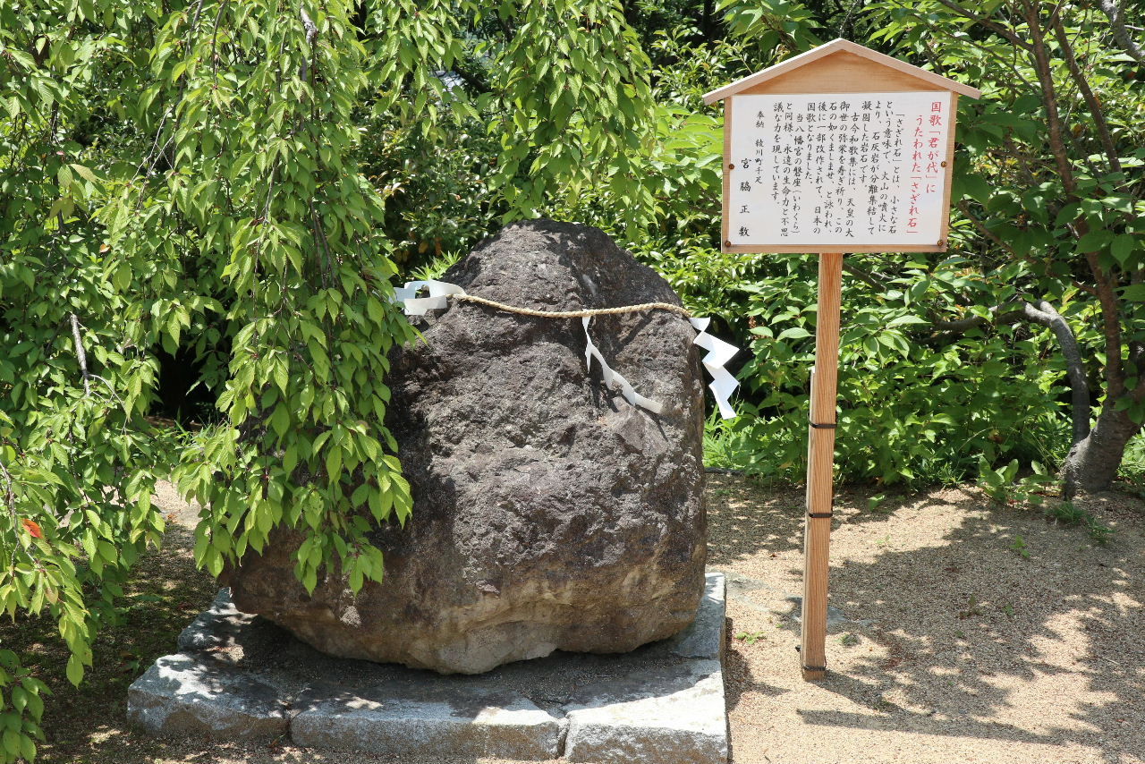 IMG_1120 (2)