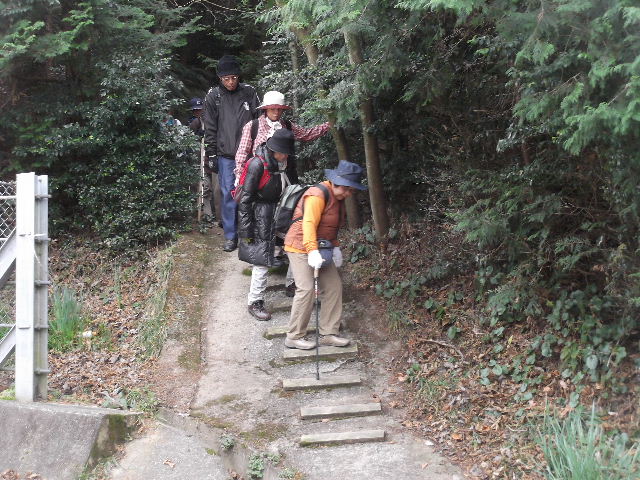 三角06DSCF8403
