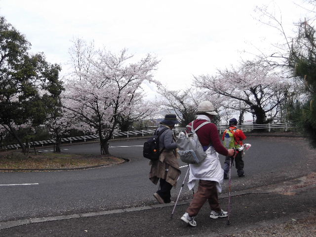 DSCF7498