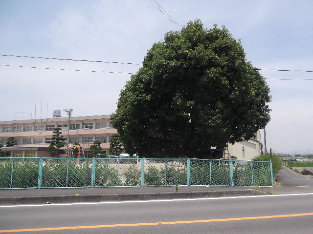 DSCF8815