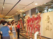 2003年東京展