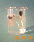 £µ¡¦£²