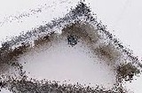 283d86d8.jpg