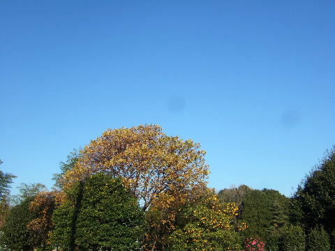 2010_12240004