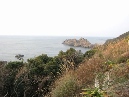 -IMG_0