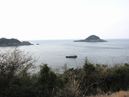 -IMG_0