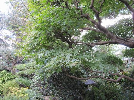 2009_1103_143304-IMG_2766