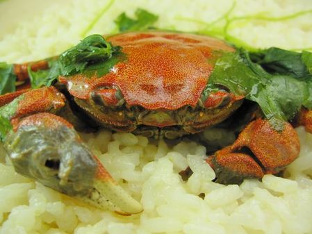 2009_1107_185034-IMG_2796