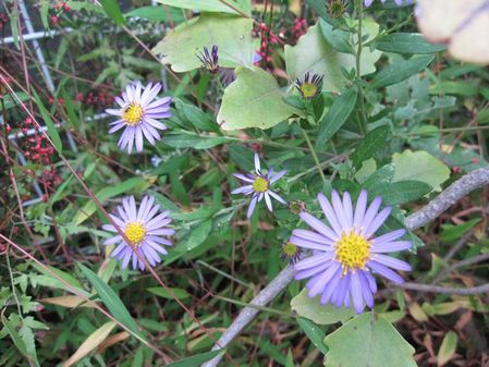 2009_1025_135734-IMG_2580