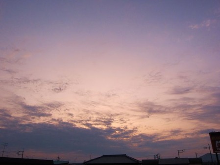 -IMG_0