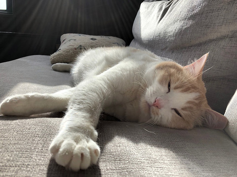ぐっすり眠るコツ