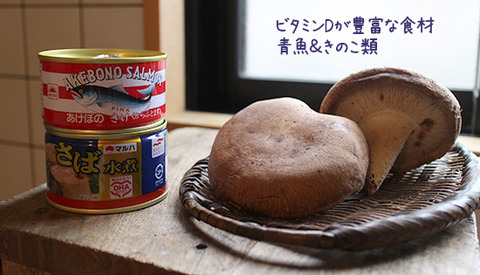NHKガッテン 日焼け止めの危険 ビタミンD豊富な食材