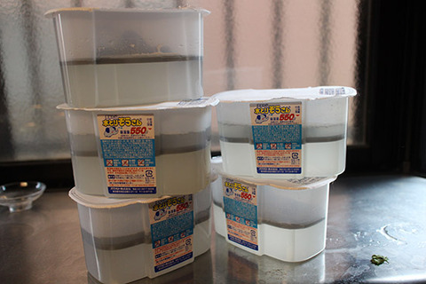 カビ除去 対策に おすすめ体験談 ブログ