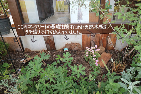シロアリ 発生した 理由 体験談
