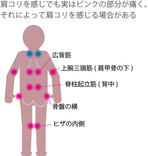肩コリ 解消できない NHKあさイチ