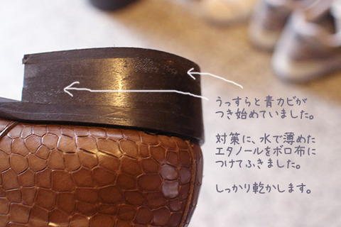 カビの除去 対策 靴 ブログ
