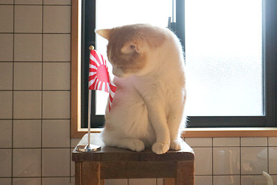 猫でもわかる日本のしくみ  国際裏天皇と理数系シャーマン