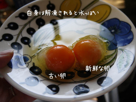 冷凍卵 レシピ NHK紹介