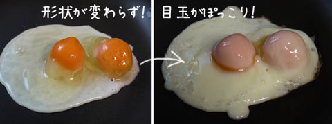 冷凍卵 レシピ 写真
