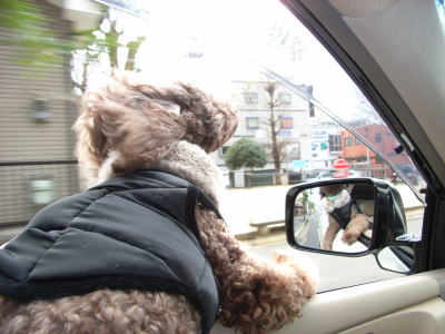 風に吹かれて