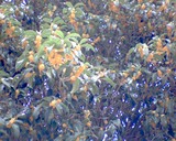 b28db89c.jpg