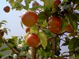 c4e292c2.jpg