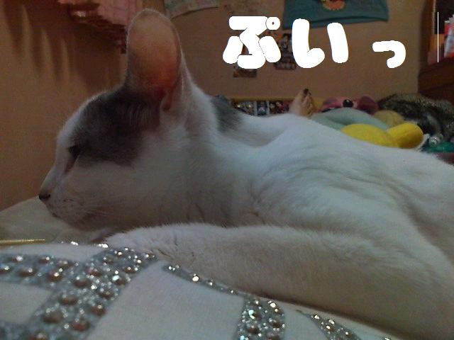 ¤Ò¡¼¤Á¤ã¤ó¥¢¥Ã¥×£µ