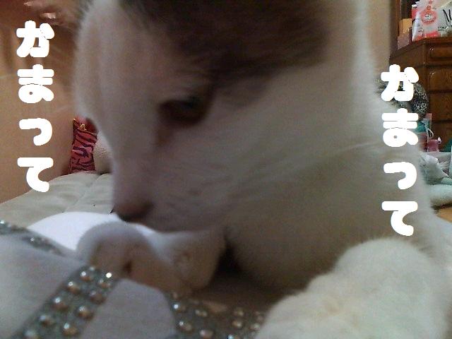 ¤Ò¡¼¤Á¤ã¤ó¥¢¥Ã¥×£´