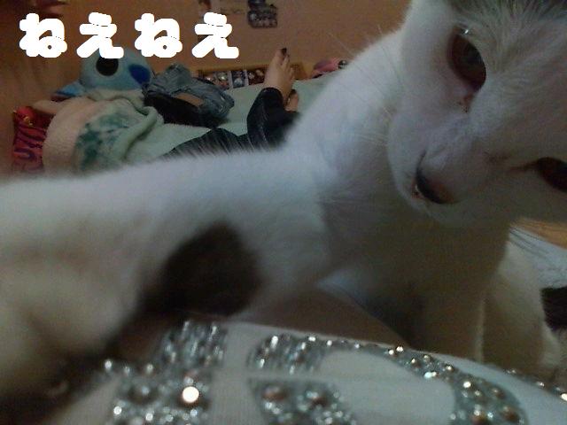 £²¤Ò¡¼¤Á¤ã¤ó¥¢¥Ã¥×