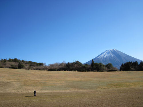 D10_20120103_0385