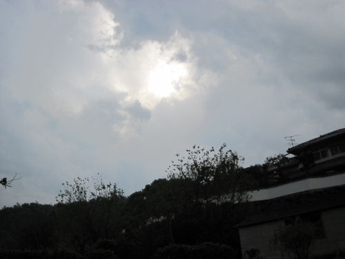D10_20091017_0312