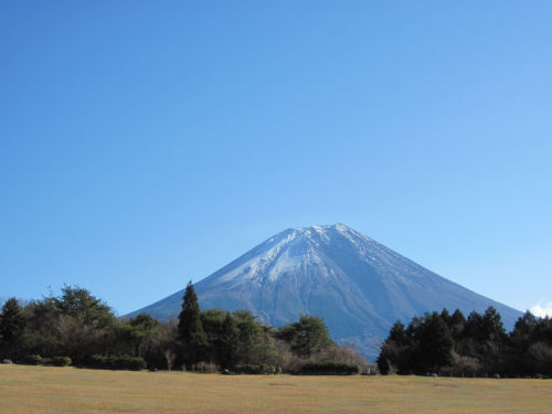 D10_20120103_0386