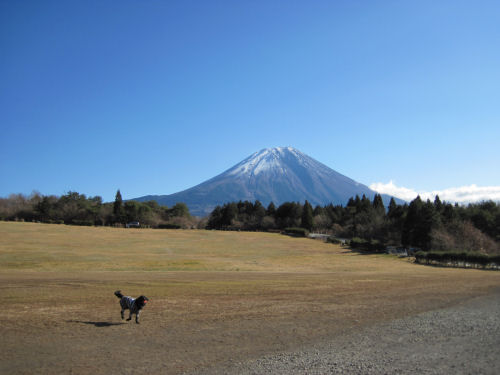 D10_20120103_0400