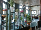 CAFE LABORATORY
