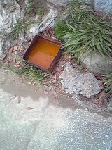 201229Éݤ¤£²
