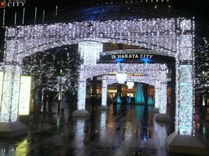 20111207���َЎȎ�������1