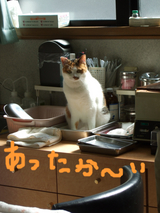 BlogPaint
