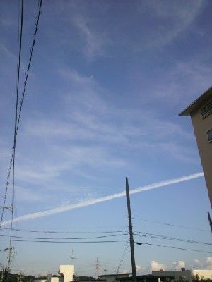 20100921くま3