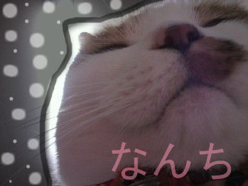 BlogPaint