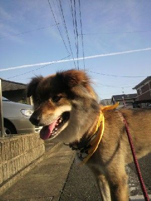 20100921くま2