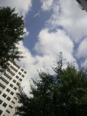 20100922そら
