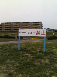 a301cf33.jpg